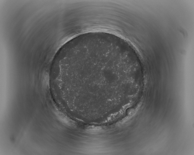 X0000111461505200908241308