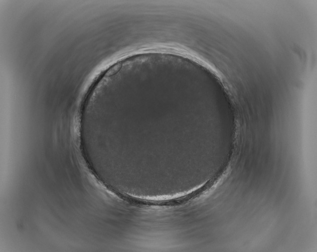 X0000111461506200908241308
