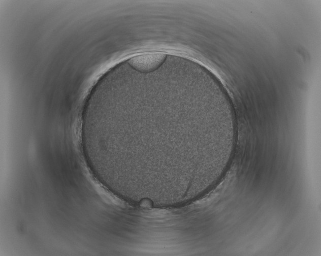 X0000111461507200908241308