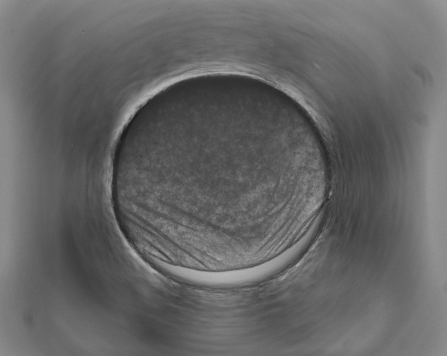 X0000111461508200908241308