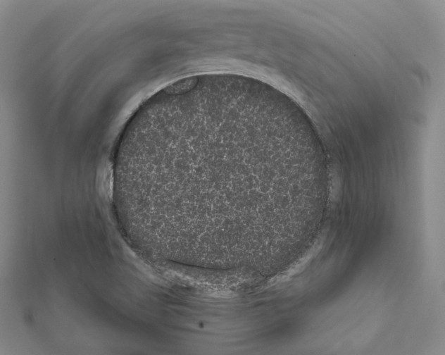 X0000111461509200908241308