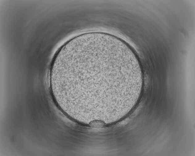 X0000111461510200908241308