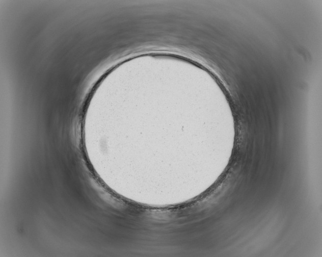 X0000111461511200908241308