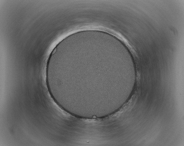 X0000111461512200908241309