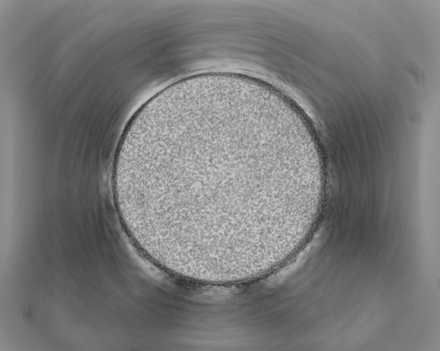 X0000111461513200908241309
