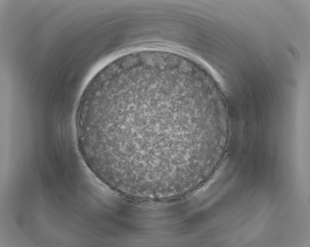 X0000111461514200908241309