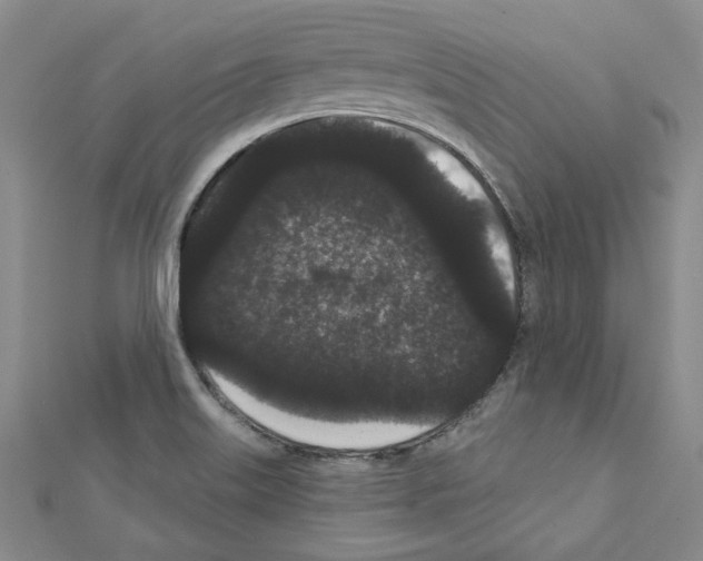 X0000111461515200908241309