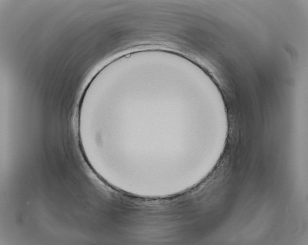 X0000111461516200908241309