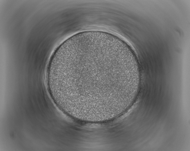 X0000111461517200908241309
