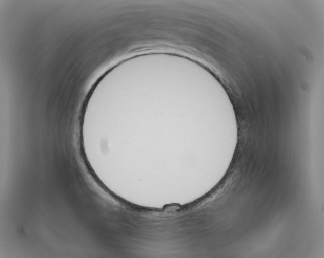 X0000111461518200908241309