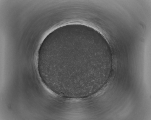 X0000111461519200908241309