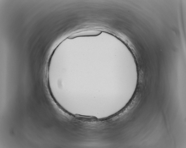 X0000111461520200908241309