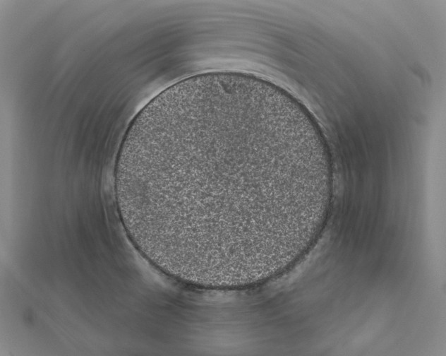 X0000111461521200908241309