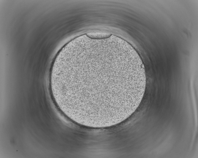 X0000111461523200908241309