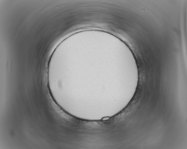 X0000111461524200908241309