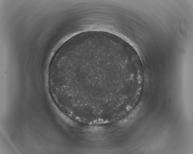 X0000111461525200908241309