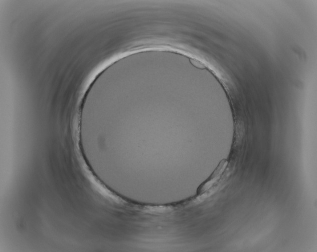 X0000111461526200908241309