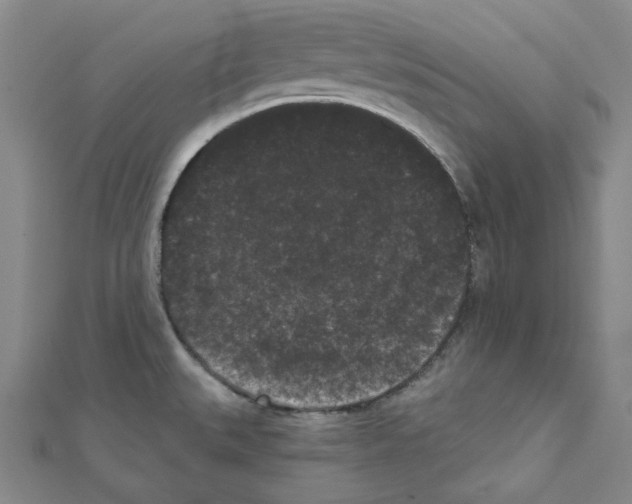 X0000111461527200908241309