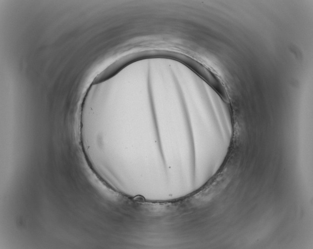 X0000111461528200908241309
