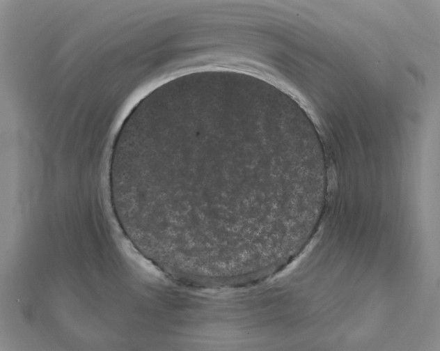 X0000111461530200908241309