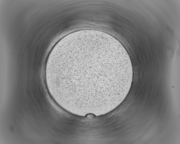 X0000111461531200908241309