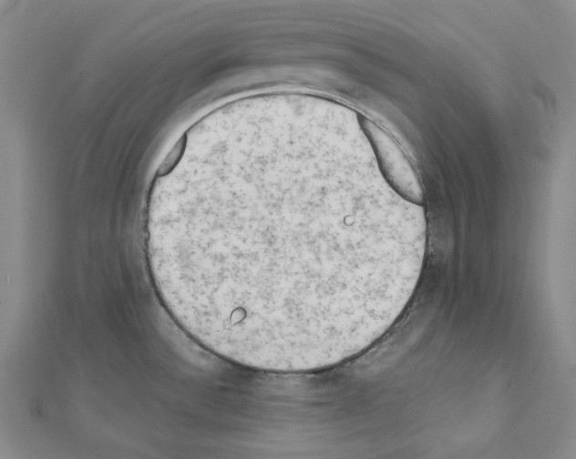 X0000111461532200908241309