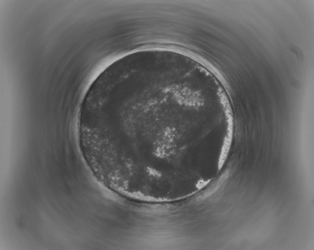X0000111461533200908241309