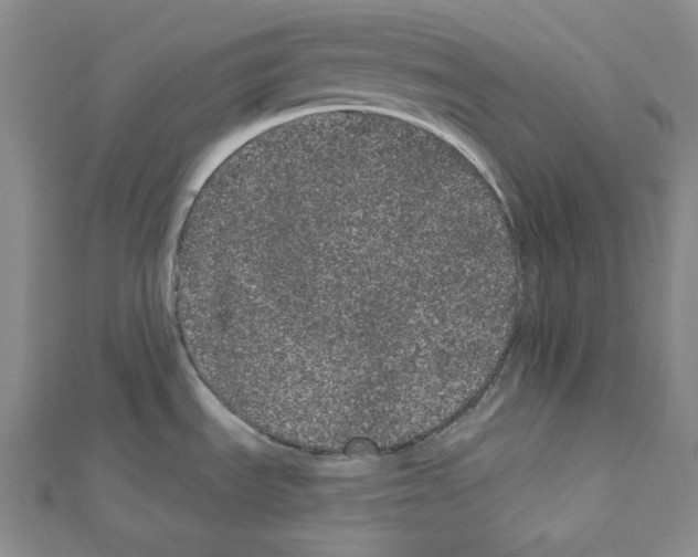 X0000111461535200908241309