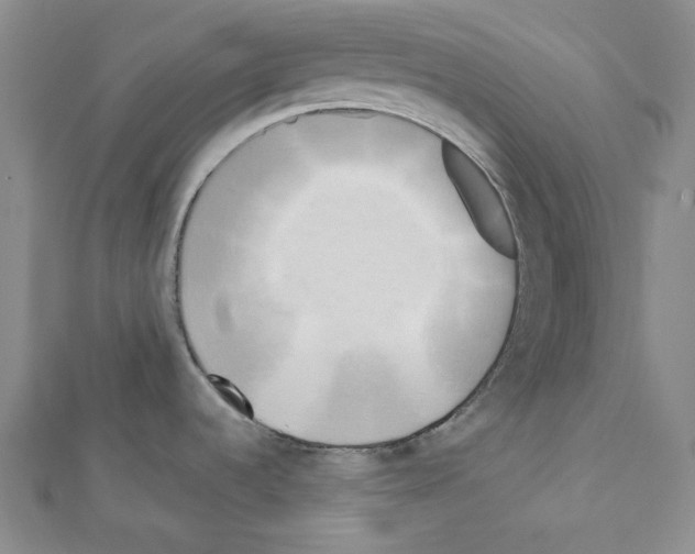 X0000111461536200908241309