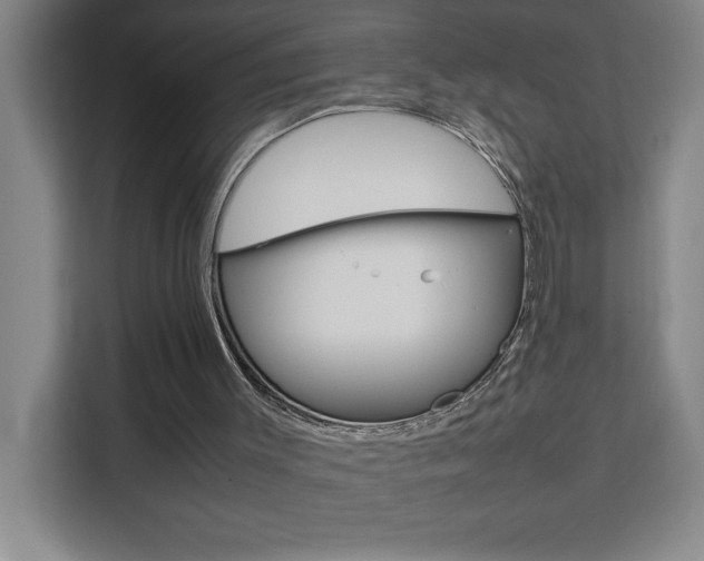 X0000111470003200907131248