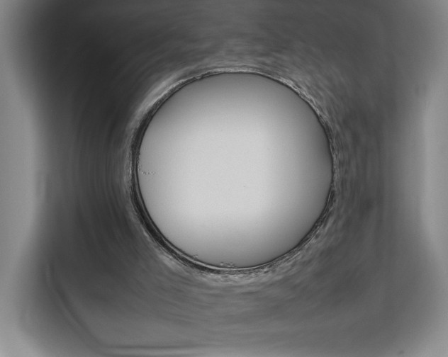 X0000111470005200907131248
