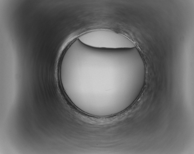 X0000111470006200907131248