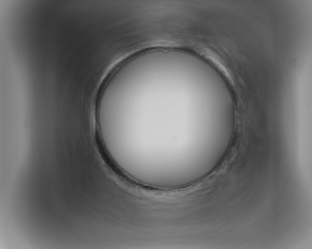 X0000111470011200907131248
