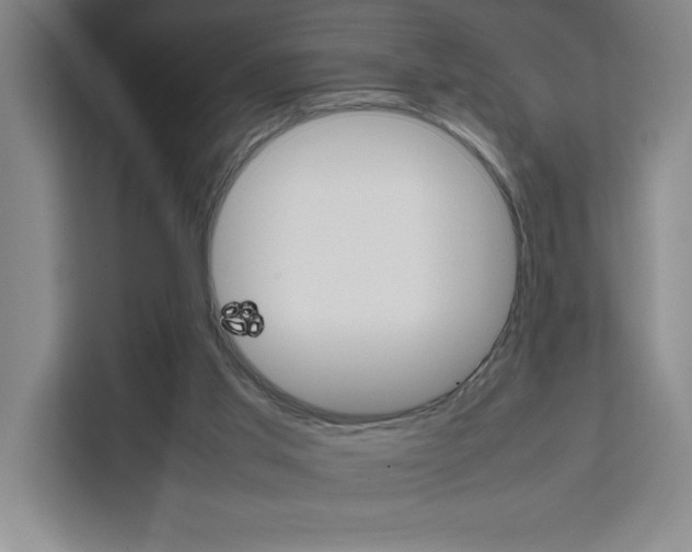 X0000111470013200907131248