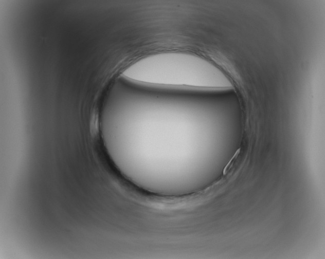 X0000111470021200907131247