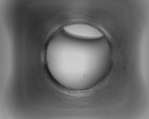 X0000111470023200907131247
