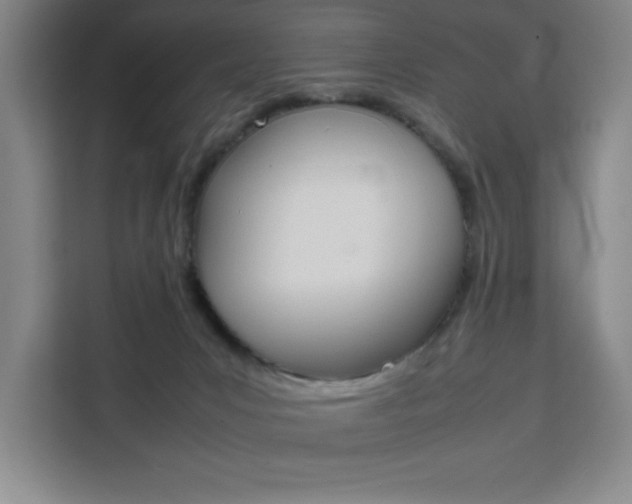 X0000111470031200907131247