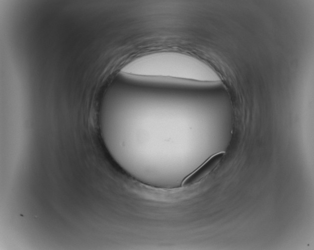 X0000111470035200907131247