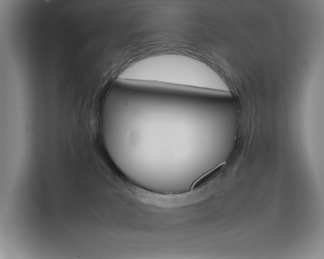 X0000111470039200907131247