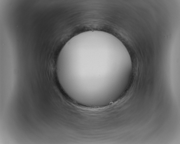 X0000111470040200907131247