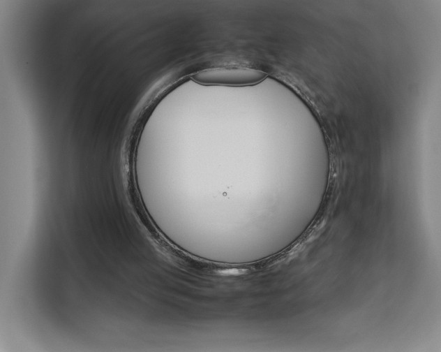 X0000111470053200907131246