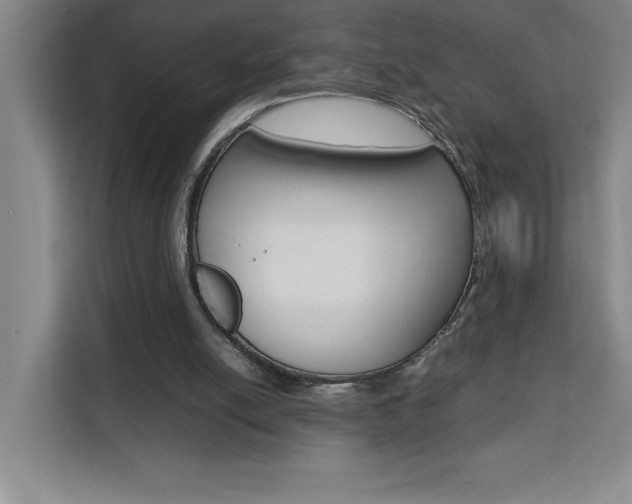 X0000111470054200907131246