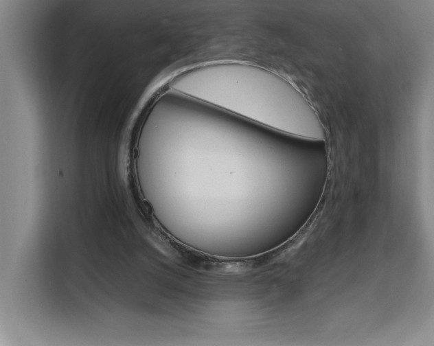 X0000111470056200907131246