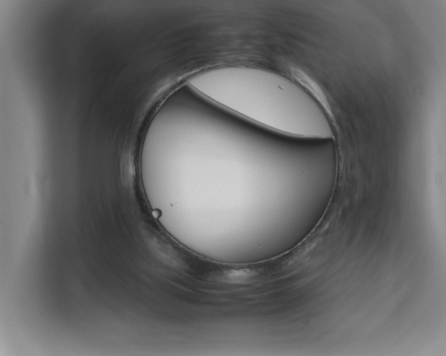 X0000111470059200907131246
