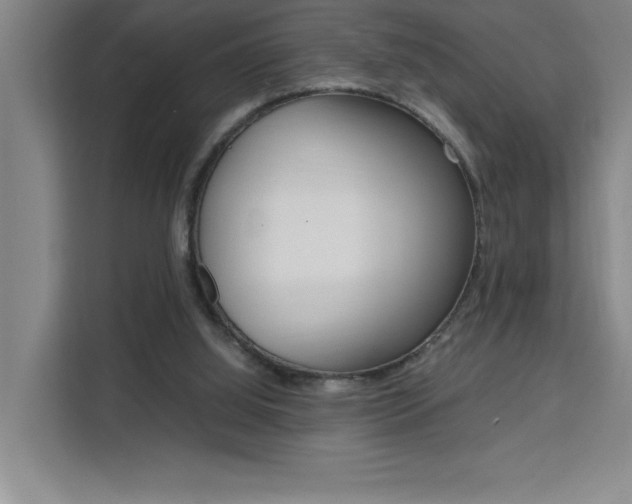 X0000111470060200907131246