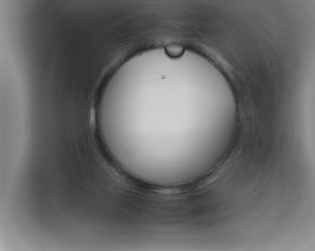 X0000111470067200907131247
