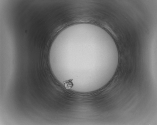 X0000111470068200907131247