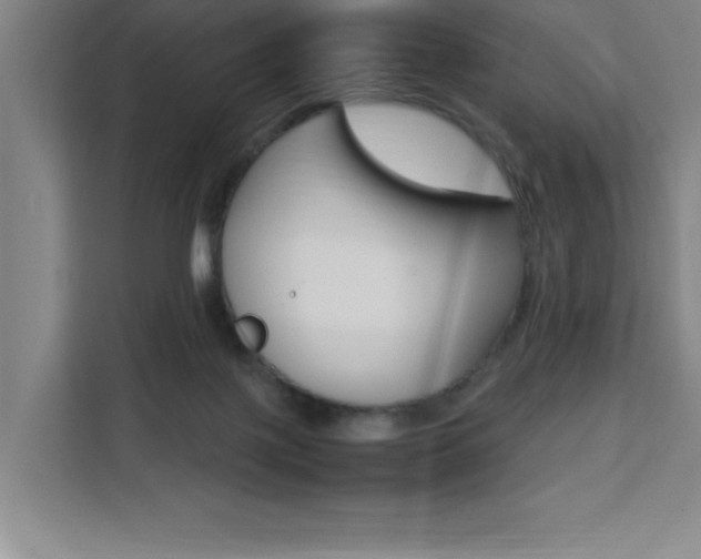 X0000111470075200907131247
