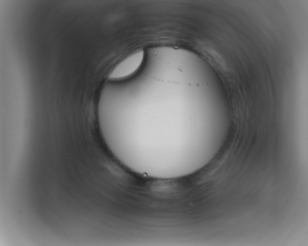 X0000111470077200907131247