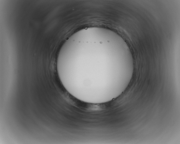 X0000111470083200907131247